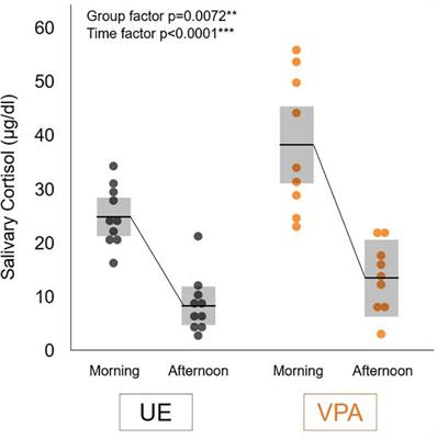 Prenatal valproic acid-induced autism marmoset model exhibits higher salivary cortisol levels